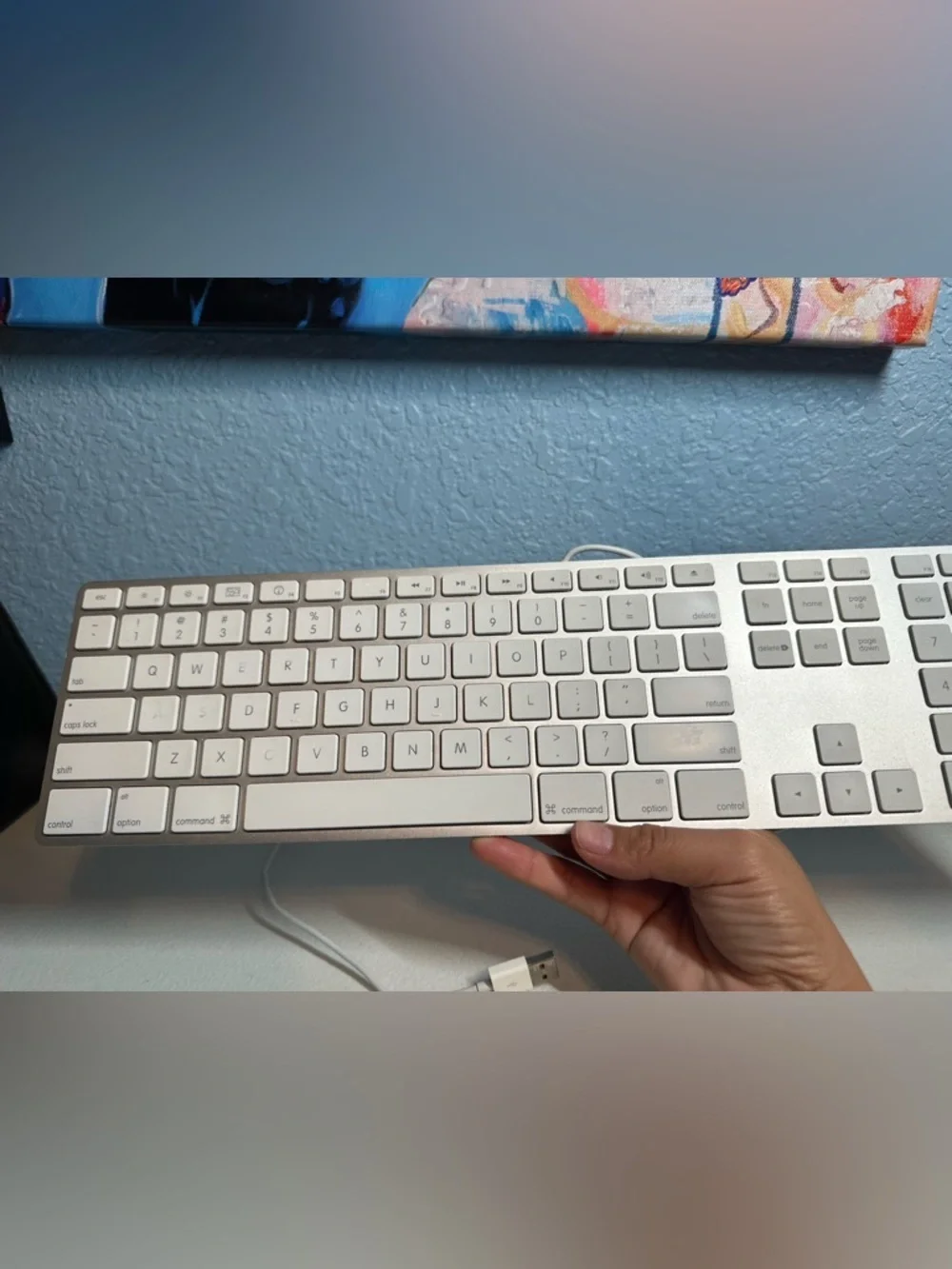 Apple mac model